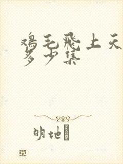鸡毛飞上天总共多少集