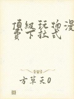 顶级玩物漫画免费下拉式