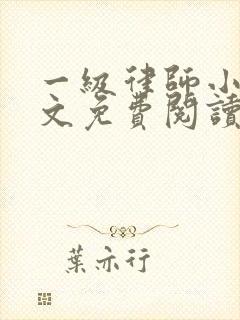 一级律师小说全文免费阅读正版