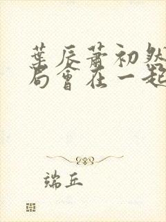 叶辰萧初然大结局会在一起吗