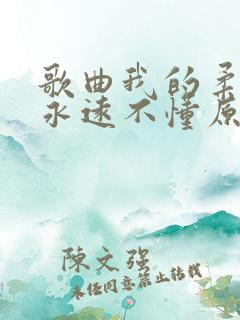 歌曲我的柔情你永远不懂原唱