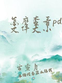 怎么查看pdf文件大小
