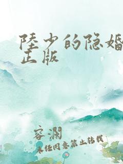 陆少的隐婚罪妻正版