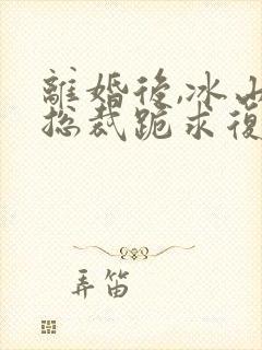 离婚后,冰山女总裁跪求复合丨