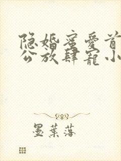 隐婚蜜爱首席老公放肆宠小说