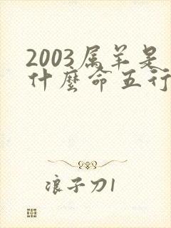2003属羊是什么命五行属什么的