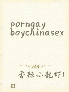 porngayboychinasex