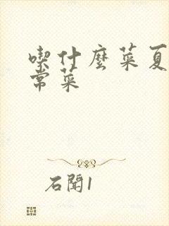 吃什么菜夏天家常菜