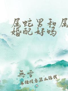 属蛇男和属鼠女婚配好吗