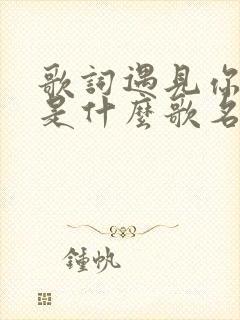 歌词遇见你的我是什么歌名