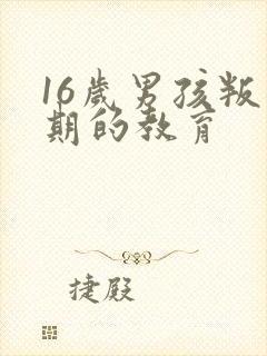 16岁男孩叛逆期的教育