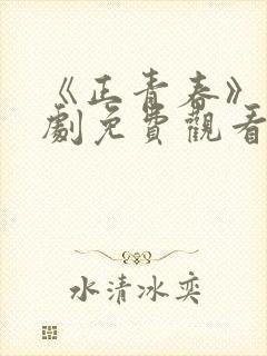 《正青春》电视剧免费观看全集完整版