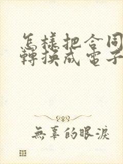怎样把合同文件转换成电子版
