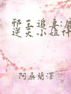 邪王追妻:废材逆天小姐什么时候开始写的