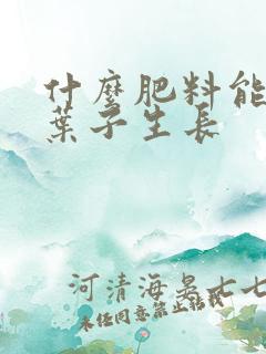 什么肥料能促进叶子生长