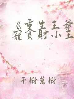 《重生王爷:溺宠贪财小王妃》