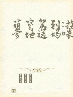 萌宝驾到:拐个爹地送妈咪