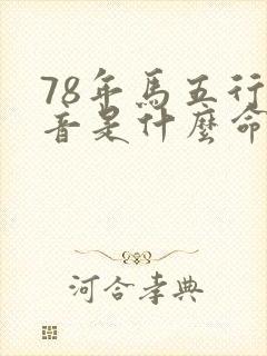 78年马五行纳音是什么命