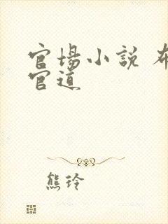 官场小说 布衣官道