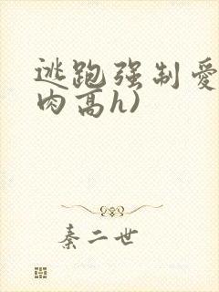 逃跑强制爱(巨肉高h)