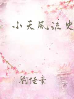 小天风流史