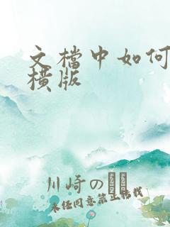 文档中如何加入横版