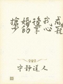 抢婚后我成了霍少的掌心宠
