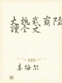 大魏武霸陆泽阅读全文