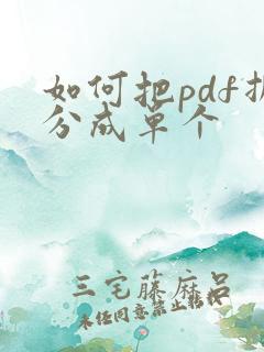 如何把pdf拆分成单个