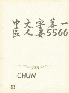 中文字幕一区二区人妻5566
