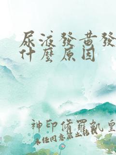 尿液发黄发臭是什么原因