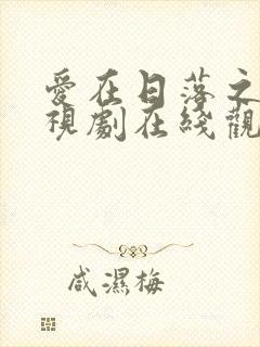 爱在日落之前电视剧在线观看