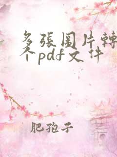 多张图片转成一个pdf文件