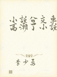 小说公交车被上高潮了小说