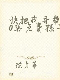 快把我哥带走30集免费孙千