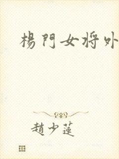 杨门女将外传