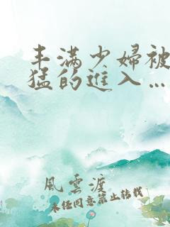 丰满少妇被粗大猛的进入…
