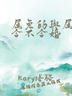 属兔的与属兔的合不合婚