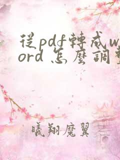 从pdf转成word 怎么调整格式
