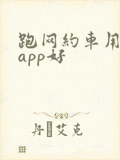 跑网约车用哪个app好