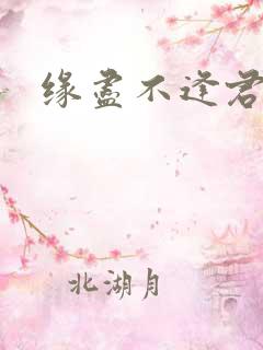 缘尽不逢君小说