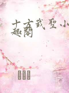 十方武圣小说笔趣阁