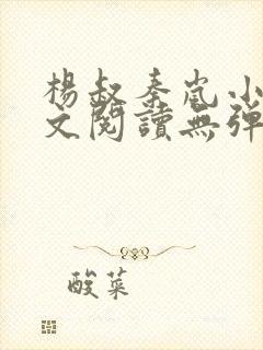 杨叔秦岚小说全文阅读无弹窗