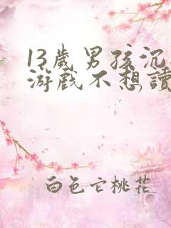 13岁男孩沉迷游戏不想读书该怎么办