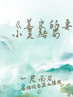 《善良的妻子》小美结局