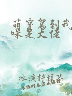 萌宝驾到我的妈咪是大佬
