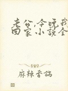老公,今晚我不回家小说全文阅读