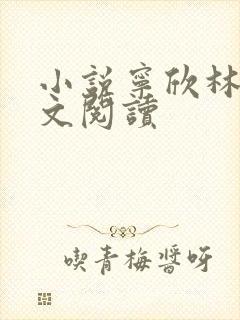 小说宁欣林峰全文阅读