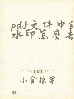 pdf文件中的水印怎么去除