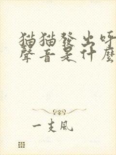 猫猫发出呼呼的声音是什么原因